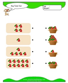 Kaç Tane Var Çalışma Sayfaları